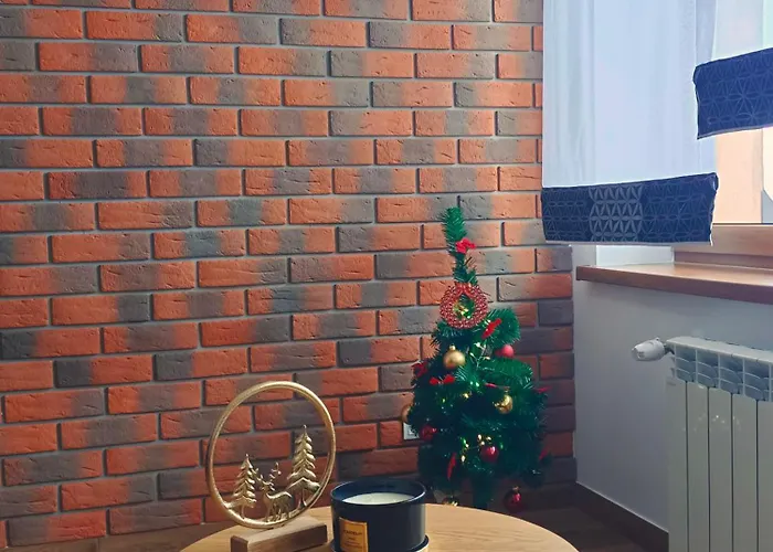 Apartmán U Burego *