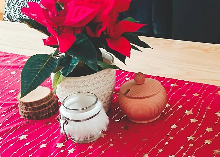 U Burego Apartamento *